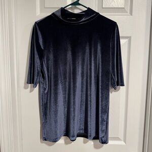 LOFT Velvet Short Sleeve Top